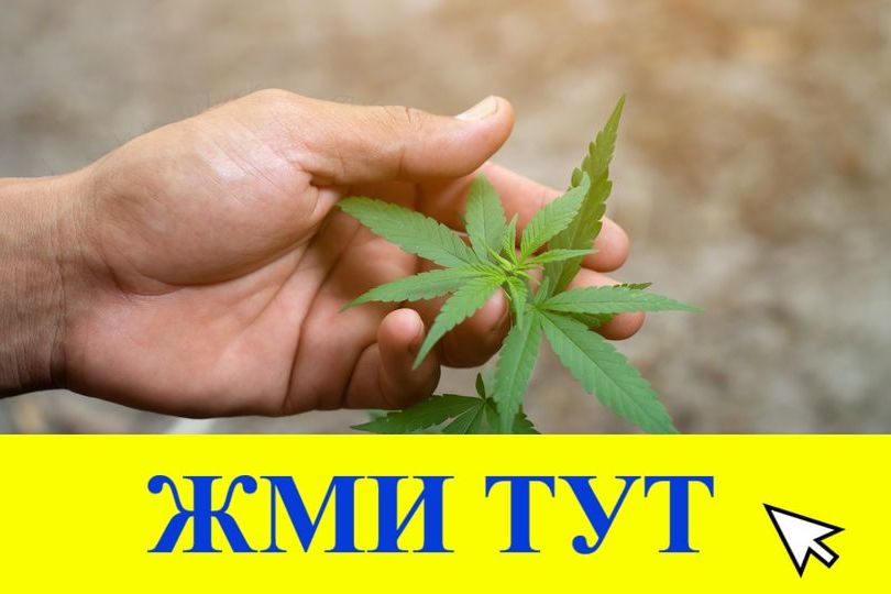 Купить наркотики в Донецке
